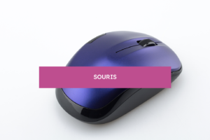 Souris